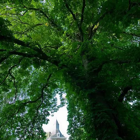 Kasteel Nijswiller Bed and Breakfast