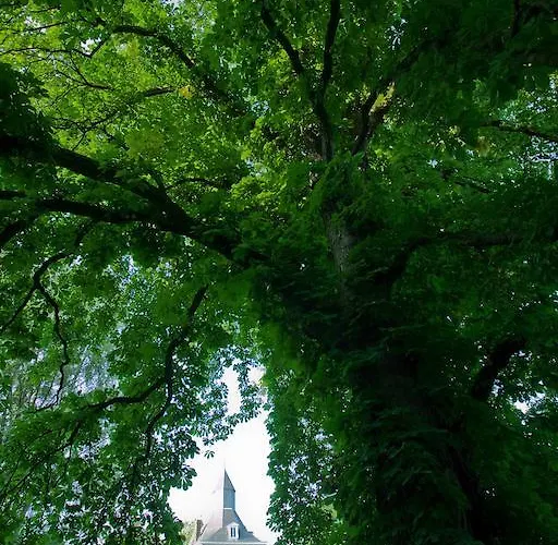 Kasteel Nijswiller Bed & Breakfast