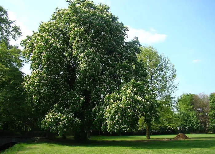 Kasteel Nijswiller 4* Wittem