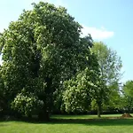 Kasteel Nijswiller 4* Wittem